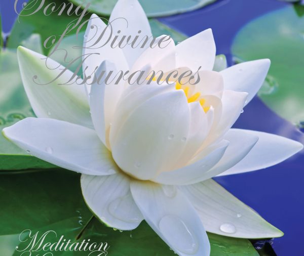 Awake My Soul Divine …rances