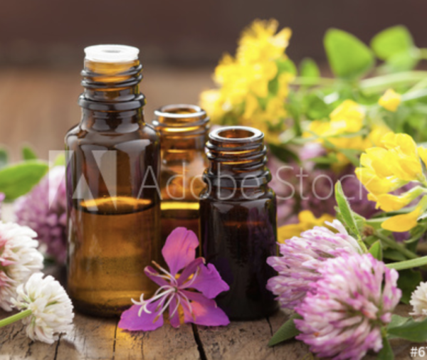 Angel Dream CDS and Coloring Books